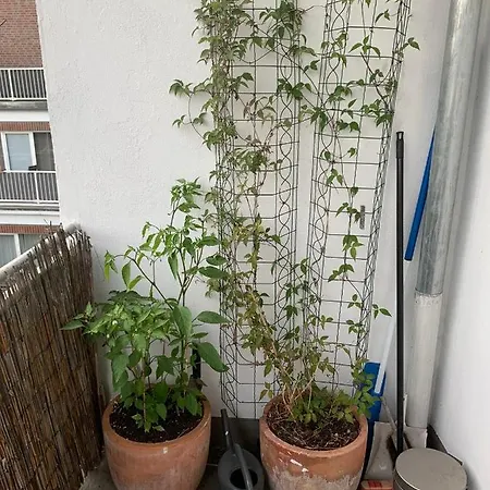 Zentrales Apartman