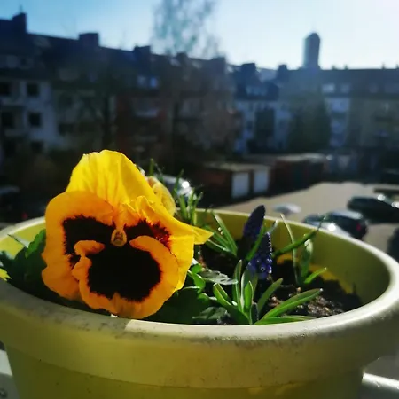 Zentrales Apartman *