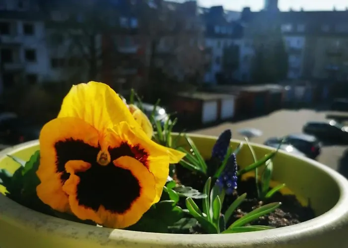 Zentrales Διαμέρισμα *